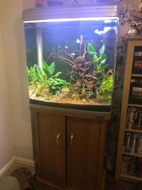 Aqua One 620t Fish tank with external filter