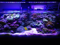 Full Marine Setup - Now selling items separately