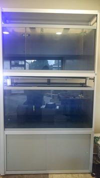 Marine Aquarium Tank System