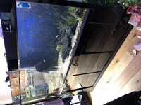 1800 litre Clear Aquatics black gloss tank