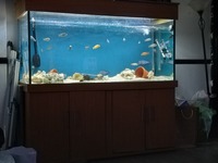 5ft x24x30 aqaurium 7 accessories