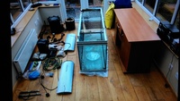 5ft Rena Fish tank & stand, Fluval Fx5, 2 x Arcadia T5 lights, Eheim pro 2224