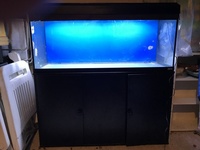 IDEAL QUARANTINE TANK