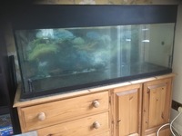 Aquarium 4ft