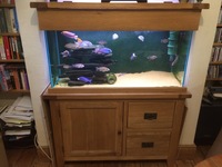 110cm Aqua Oak doors drawers tank-£245, pick up from Cambridge