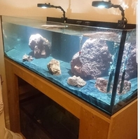 Custom fish tank kessil jecod tropical