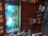 350 litre aquarium and cabinet