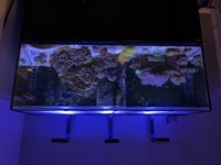 Red Sea Reefer 450 full set-up