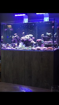 Complete marine setup