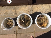 Reduced for sale before 07/04/19 - 40KG of Live Rock