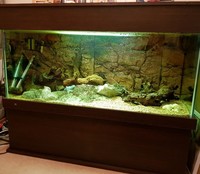 ND Aquatics custom 4.5 foot by 2 foot by 2 foot 500l aquarium set up Inc FX5