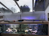 10ft fish tank aquarium