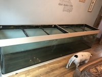 10ft fish tank aquarium