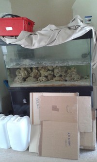 Betta Lifespace 1200 4x2x2 Tank, Black Cabinet,Sump,Pumps etc Birmingham