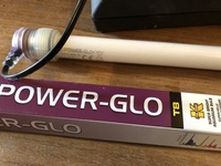 £25, T8 power glo tube,T8 Juwel light tube, with interpet starter unit