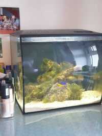 Complete fluval marine...... £55