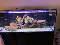 Marine aquarium & eqipment for sale