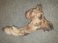 X2 large pieces of bogwood - £15 job lot