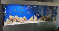 7×2×2.5 fish tank