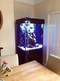 Marine Aquarium