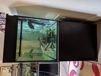 Large Aquarium for sale