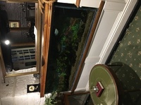 Fish tank