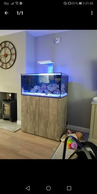 marine tank breakdown- everything must go - livestock, zoas, live rock, sps