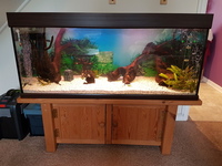 Complete 4 foot tropical tank set up