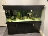 Fish Aquarium and Equipment