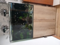 Evolution Aqua Reef pro 900 marine tank