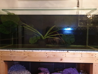 5x2x2 fish tank