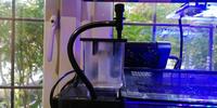 Upgraded Marine Tank Full Set Up For Sale