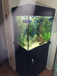 Aquareef 195 aquarium