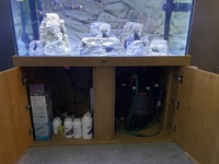 Nd aquatics 4x2x2 complete set up with tropheus £500