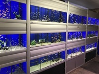 Aquatic Shop Systems & Contents For Sale