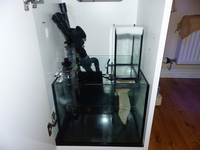 Red Sea Reefer Aquarium, Cabinet & Equipment