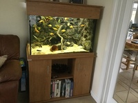 Large cube style Aquarium