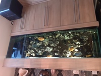 6ft aquarium