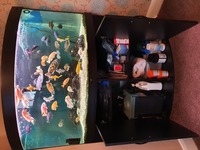 Malawi Cichlids for sale (over 40 fish) Preston (PR1)