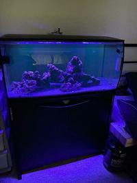 Marine Tank Set up All included