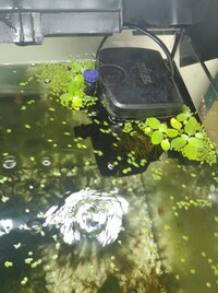 Fluval U2 underwater filter £25