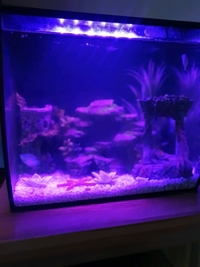 Fluval Flex 57L