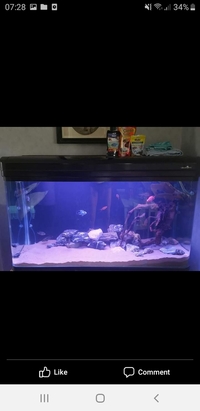 Full aquarium setup black 4x2 ft £40 giveaway be quick