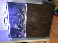 EA Reef 1200 Aquarium full set up, live rock and live stock