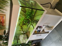 4ft Juvel Rio 240 tank - full set up - £160