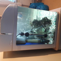 Aqua One AR850 Full Tropical set up with fish £175