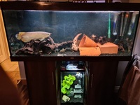 Jewel 400L 5 ft tank