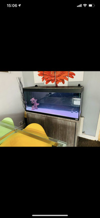 Fluval Roma 240 £190