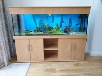 6ft, 510 litre ND Aquatics Aquarium for sale