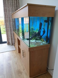 6ft, 510 litre ND Aquatics Aquarium for sale